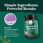 Pancreatin Digestive Enzymes for Digestive Health-Pancreatic Enzymes for Humans with Fat Carb & Protein Digestive Enzymes for Women and Men - Protease Amylase & Lipase Enzymes for Digestion 60ct (2pk)