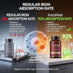 Ferritin Support Iron Supplement for Women – Supports Healthy Iron & Energy Levels – with Ferrous Glycine,Vitamin C, B12, B6, Folate, Zinc & Probiotics – 60 Capsules(1pc)