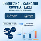 Zinc L Carnosine Complex 85mg, 11-in-1 Digestive & Gut Health Support, with Soothing Blend, L-Glutamine & Mastic Gum, 200 Capsules, Non-GMO, Vegan