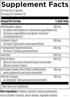 Designs for Health PhytoBiome - Polyphenols Supplement Gut Microbiome Support - Traditional Prebiotic Alternative to Support Overall Gut Health - Digestion Supplement (90 Capsules)