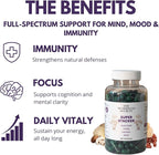 Super Stacker - 4-in-1 Mushroom Supplement Wellness Blend - Lion’s Mane, Oyster, Chestnut & Reishi - Immune, Focus & Daily Vitality - 120 Vegan Capsules