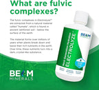 BEAM Minerals Electrolyze | Liquid Electrolyte Replenishment | All the Electrolytes, Without All the Salt | 32 fl Oz