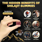 Shilajit Gummies l Manuka Honey | Himalayan shilajit |No Added Sugar I Ashwagandha, Gokshura| Fulvic Acid & 85+ Trace Minerals I for Men, Women I Non-GMO I 100% Natural & Organic I 30 Gummy