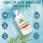 Organa Trace Minerals - Liquid Colloidal Minerals Supplements - Plant Derived for Maximum Absorption - Colloidal Minerals Liquid for Wellness - 32 Ounces