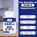 1800mg Sam-e Supplement with Alpha Lipoic Acid + Turmeric, Elderberry, Jujube Extract, Support Liver Health, Boost Immune System, 180 Capsules