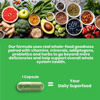 Paradise Herbs Earth's Blend Once Daily Multivitamin, No Iron, 48 Organic Superfoods, Probiotics, Antioxidants, Vitamins A, B12, C, D, K2, 30 Count