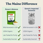 Ocean’s Balance Clean – Organic Bladderwrack Powder (Fucus vesiculosus) from The Pristine Maine Coast | Vegan • Lab‑Tested Purity • Skin & Digestive Wellness 4 Oz