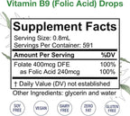 HoneyCombs Vitamin B9 Liquid Drops - High Potency Liquid Vitamin B9 Folic Acid Supplement for Women - Maintain Healthy Liver, Pregnancy, & Overall Health - Cold Pressed Vegan Vitamins Drops (16 Fl oz)