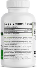 Bronson Ginkgo Biloba Extra Strength Supports Brain Function & Memory Support, 120 Vegetarian Capsules