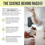 BIOSTACK NAD Regen (30 Days Supply) - Advanced NAD+ Supplement with NAD3, Yüth Spermidine, Resveratrol, Niacinamide | NMNH Alternative | Anti Aging, Longevity & Cellular Health, Vitamin B3 Complex