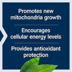 Life Extension PQQ Caps – Pyrroloquinoline Quinone, 10 mg – Promotes the Growth of New Mitochondria, ATP, Energy Support – Gluten-Free, Non-GMO, Vegetarian – 60 Capsules
