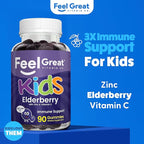 Feel Great Vitamin Co. Elderberry Gummies for Kids | Immune Support | Natural Antioxidant Immune Booster | with Vitamin C and Zinc | Gluten Free & Vegetarian | 90 ct 2 Pack