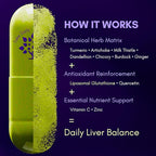 purple tree Happy Liver Daily | Liver Support Supplement with Milk Thistle, Dandelion, Artichoke, Turmeric & Liposomal Glutathione | Antioxidant & Daily Liver Wellness | 60 Vegan Capsules