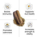 3000mg Iris Sea Moss, 2000mg Black Seed Oil, 1000mg Ashwagandha, 1000mg Burdrock Root, 1000 mg Bladderwrack with Black Pepper & Vitamin C |Vitality & Energy Support | All-in-one supplement| Pack of 2