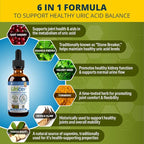 Rejuvica Health Uricel - Advanced Uric Acid Support & Cleanse Supplement - Liquid Delivery for Better Absorption - Tart Cherry, Chanca Piedra, Celery Seed, Turmeric & More!