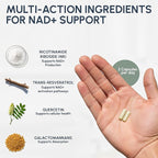 RYOS Nicotinamide Riboside NAD+ Supplement (500mg NR) with Resveratrol & Quercetin – Supports Healthy Aging & Cellular Energy – Pharmacist-Reviewed for Medication Awareness – REFUSEtoAGE- 60 Capsules
