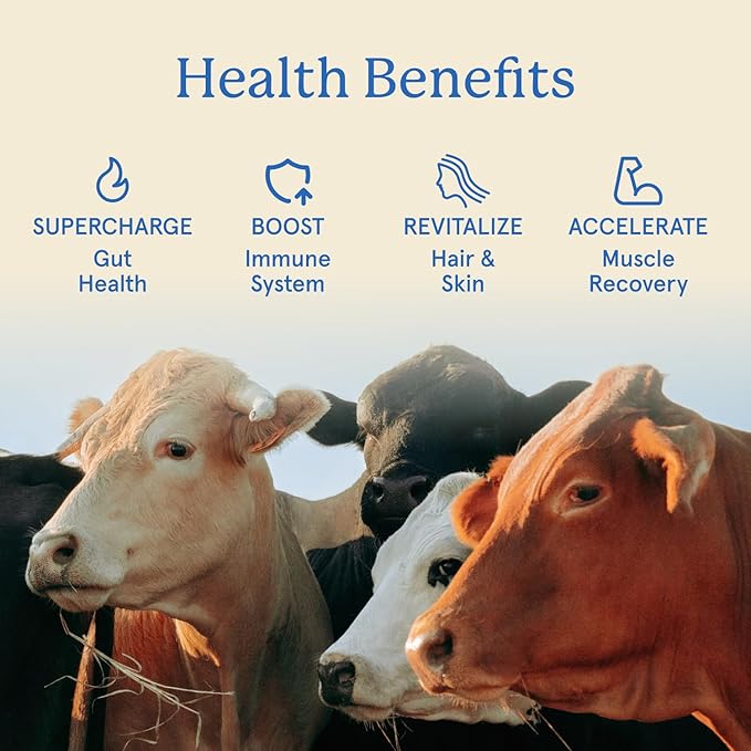 Equip Foods Core Bovine Colostrum Gummies, Delicious 1g Per Seving Grass Fed Colostrum Supplement - Gut Health, Immunity, Recovery, Hair & Skin - 60 Bovine Colostrum Gummies, 30 Servings, Peach Mango