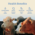 Equip Foods Core Bovine Colostrum Gummies - Delicious 1g Per Seving Grass Fed Colostrum Supplement - Gut Health, Immunity, Recovery, Hair & Skin - 60 Bovine Colostrum Gummies, 30 Servings, Raspberry