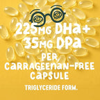 Vegan Omega 3 DHA: Algae Oil, Most Reviewed, Carrageenan Free, Tested, No Heavy Metals, Fish Oil Alt, Plant Based Omega. Supports Heart, Brain, Joint Health w/DPA
