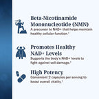 BioSchwartz NMN Supplement - 500mg Nicotinamide Mononucleotide - 30 Servings, 60 Capsules - Made in The USA with Premium Globally Sourced Ingredients, Third-Party Tested, Gluten-Free NMN Supplement
