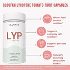 Lycopene Supplement Capsules 500mg – Tomato Fruit Powder with Natural Lycopene for Antioxidant & Daily Wellness Support | Gluten Free, Non-GMO (120 Count (Pack of 1))