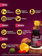 Iron Supplement for Women Men, High Potency Iron 65mg with Vitamin C 250mg, Stomach Friendly Iron Pills for Red Blood Cell & Immune Support, Vegan, Non-GMO & Gluten Free, 90 Tablets