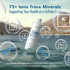 BioTrace Dead Sea Trace Mineral Drops | 72+ Concentrated Trace Minerals, Ionic Liquid Magnesium, Chloride, Potassium | Low Sodium | Energy, Electrolytes, Hydration | 24 Day Supply, 2 fl oz (Pack of 1)