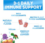 Kids Immune Support Supplement Gummies - Daily Childrens Vitamins C, Zinc & Echinacea - Gummy for Kids Immune Support, Ages 4 and Up, Natural Berry Flavor, Non-GMO, Gluten-Free & Vegan - 120 Gummies