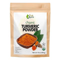 True Organic Ceylon Turmeric Powder, 1 Pound Bulk Bag, Certified Organic, USDA Certified, Non-GMO, High Curcumin Content Organic Turmeric Powder, Ground Turmeric, Pure Ceylon Premium Quality Bulk Turmeric Spice [16 ounces]