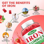 Iron Gummies for Women & Men - Vegan Iron Supplement for Anemia & Iron Deficiency, with Vitamin B12, Vitamin C, Zinc, Folate - Energy Boost, Sugar-Free, Strawberry Flavor, 60 Count