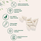 Micro Ingredients NMN 200mg Per Serving | 120 Veggie Capsules – 60 Servings | Easily Absorbed Nicotinamide Mononucleotide Form | NAD+ Precursor & NR Supplement Alternative | Non-GMO, Vegan