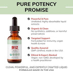 USDA Organic Vitamin B12 Liquid Drops 5000 mcg, Methylcobalamin, Sublingual, Fast Absorption, Cellular Energy, Metabolism Support, Nervous System, Mental Focus, Vegan, Non-GMO, 2 fl oz, 60 Servings