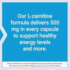 Life Extension L-Carnitine – 500 mg, Energy & Memory Supplement – Free Form Amino Acid, Nitric Oxide Support, Healthy Blood Pressure | Gluten-Free, Non-GMO, Vegetarian | 30 Capsules (Pack of 2)