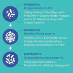 Garden of Life Dr. Formulated Pre, Post & Probiotics Gas & Bloating Once Daily 3-in-1 Complete Prebiotics, Postbiotics & Probiotics – 50 Billion CFU, Non-GMO, Gluten-Free, 30 Day Supply, (Pack of 2)