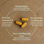 New Chapter Advanced Perfect Prenatal Vitamins, 270ct, Made with Organic, Non-GMO Ingredients for Healthy Baby & Mom - Folate (Methylfolate), Whole-Food Fermented Iron, Vitamin D3 + Ginger