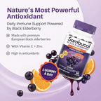 Sambucol Elderberry Gummies - Immune Support Supplement for Adults & Kids with Vitamin C & Zinc, Sambucol Elderberry are High in Antioxidants, Gluten Free, Vegan - 90 Count