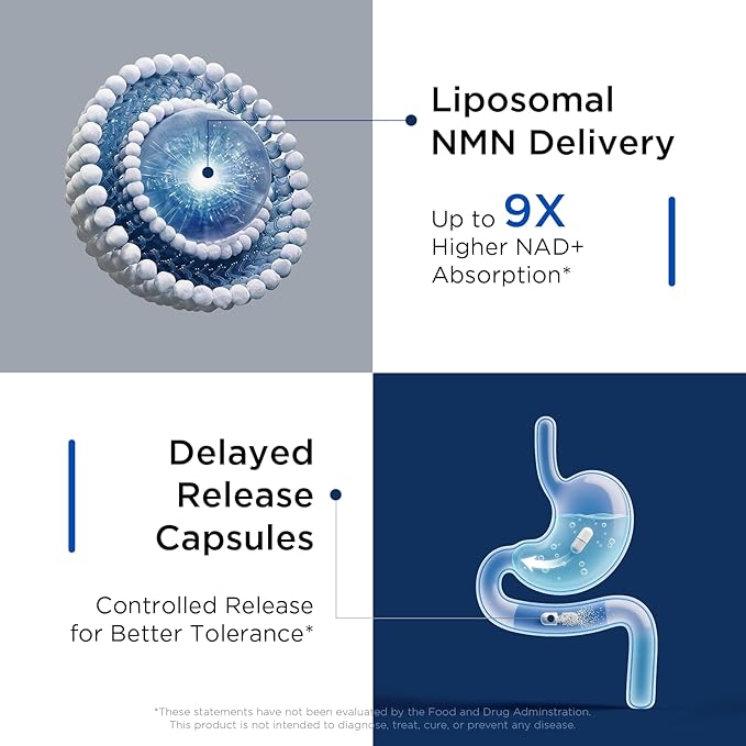 NMN Supplement Liposomal Neuro NMN with Resveratrol, TMG, Quercetin, CoQ10, Rhodiola, NAC, Astaxanthin & Magnesium NAD+ Precursor Supports Brain Cellular Energy & NAD+ Levels | 60 Delayed Release Caps