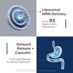 NMN Supplement Liposomal Neuro NMN with Resveratrol, TMG, Quercetin, CoQ10, Rhodiola, NAC, Astaxanthin & Magnesium NAD+ Precursor Supports Brain Cellular Energy & NAD+ Levels | 60 Delayed Release Caps