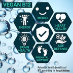 Vegan Probiotic Plus B12 & FOS - 22 Billion CFU Synbiotics Prebiotics and Probiotics for Digestive Health, IBS, Mood Support - B12 Pre Pro Post Biotics for Women & Men - 60 Gluten-Free Capsules