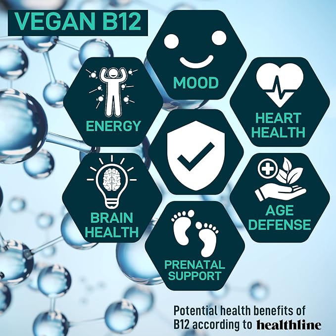 Vegan Probiotic Plus B12 & FOS - 22 Billion CFU Synbiotics Prebiotics and Probiotics for Digestive Health, IBS, Mood Support - B12 Pre Pro Post Biotics for Women & Men - 60 Gluten-Free Capsules
