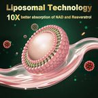 NAD Supplement with Liposomal Nicotinamide Riboside 600mg, Resveratrol, CoQ10, PQQ & D-Ribose, Electrolyte Blend, 30 Liquid Packets