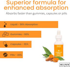 WellPath Liposomal Curcumin Supplement | Liquid Turmeric Drops with Black Pepper Extract | Enhanced Absorption | Non-GMO, Vegan, 2 oz