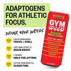 GYM WEED Athletic Focus Drink with KSM-66 Ashwagandha, Lion's Mane Mushroom, L-Theanine, 200mg Green Tea Caffeine with Natural Sweeteners Watermelon Flavor, 12 Pack