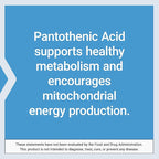 Life Extension Pantothenic Acid, 500 mg, Vitamin B5, Calcium, Support Healthy Metabolism, Mitochondrial Energy Production, Gluten-Free, Non-GMO, Vegetarian, 100 Capsules