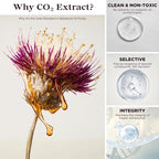 Milk Thistle Seed Oil Extract 2 fl oz - CO2 Liquid Milk Thistle Extract - Rich in Silymarin, VIT E, Zinc, Omegas, Tocopherols - Sweet and Pleasant Taste