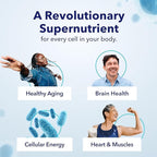 TRU NIAGEN Patented NAD Supplement for Brain Function, Anti Aging & Cell Regeneration, Niagen, 60 300mg Servings | Supports Cellular Energy, Muscle | Nicotinamide Riboside (NR) Take 2 Daily | 1 Bottle