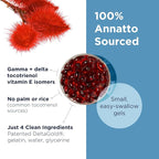 Designs for Health Annatto-E 300mg Tocotrienols Vitamin E - Delta + Gamma Tocotrienols to Support Heart Health, Eye Health, Healthy Aging - DeltaGold Antioxidants Supplement (60 Vitamin E Softgels)