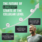 Benevolent Advanced NMN Supplement 1000mg (98% Purity) – 5-in-1 NMN Longevity Matrix with Zynamite® & PQQ for Increased NAD+ Levels, Cellular Energy, Cognitive & Healthy Aging – 60 Vegan Capsules