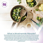 Nootropics Depot Nicotinamide Riboside Capsules | 300mg | NAD+ Precursor | 30 Count | Promotes NAD+ Levels | Cellular Energy