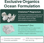 Organics Ocean Pure Magnesium Glycinate with Zinc - Maximum Strength Chelated Magnesium Supplement for Women and Men for Muscle Cramps and Sleep Support - 90 Capsule